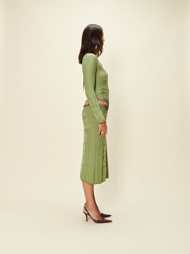 THE ENVY DRESS
