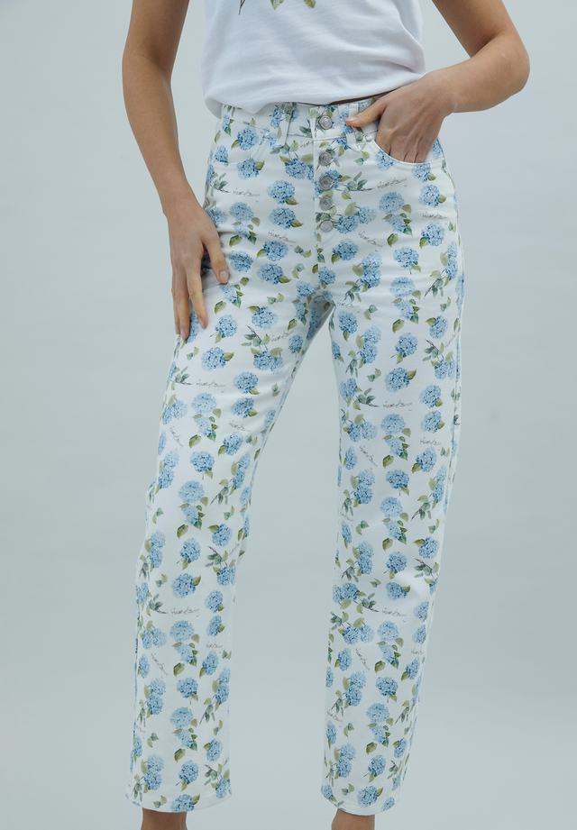HYDRANGEA JESSIE JEANS