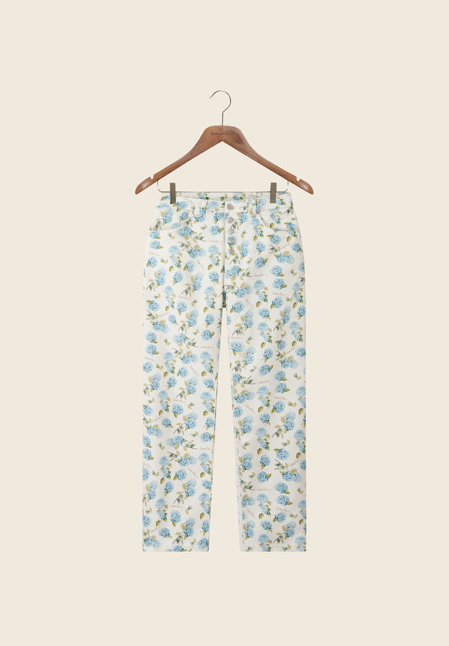 HYDRANGEA JESSIE JEANS