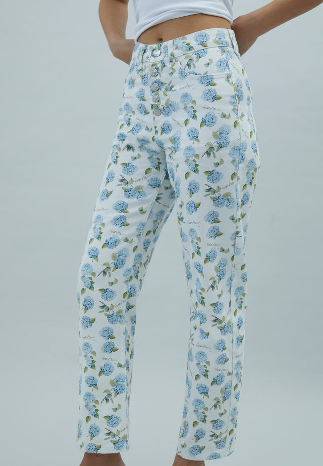 HYDRANGEA JESSIE JEANS